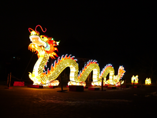 P1120836A-ImageSharp P1120836A-ImageSharp