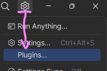 Rider Plugins Rider Plugins