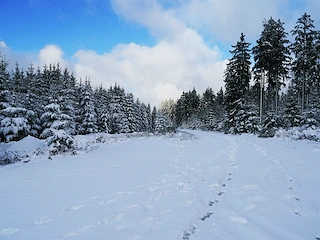 Snow as Webp by MagicScaler Snow as Webp by MagicScaler